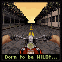 Born to be Wild